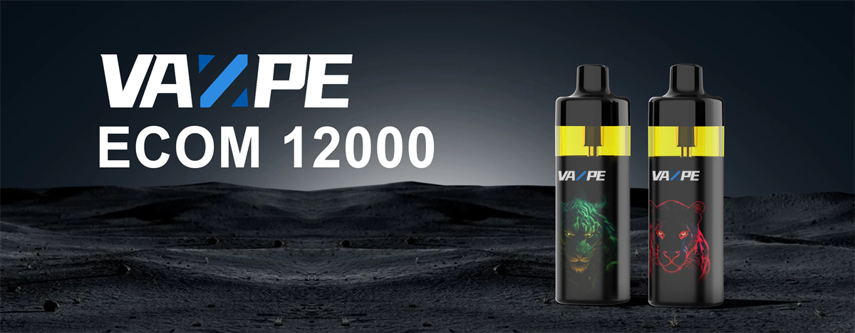 Vazpe ECOM 12K Description 01