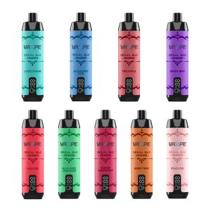 Vazpe RB15000 All Flavor Vazpe RB15000 All Flavor