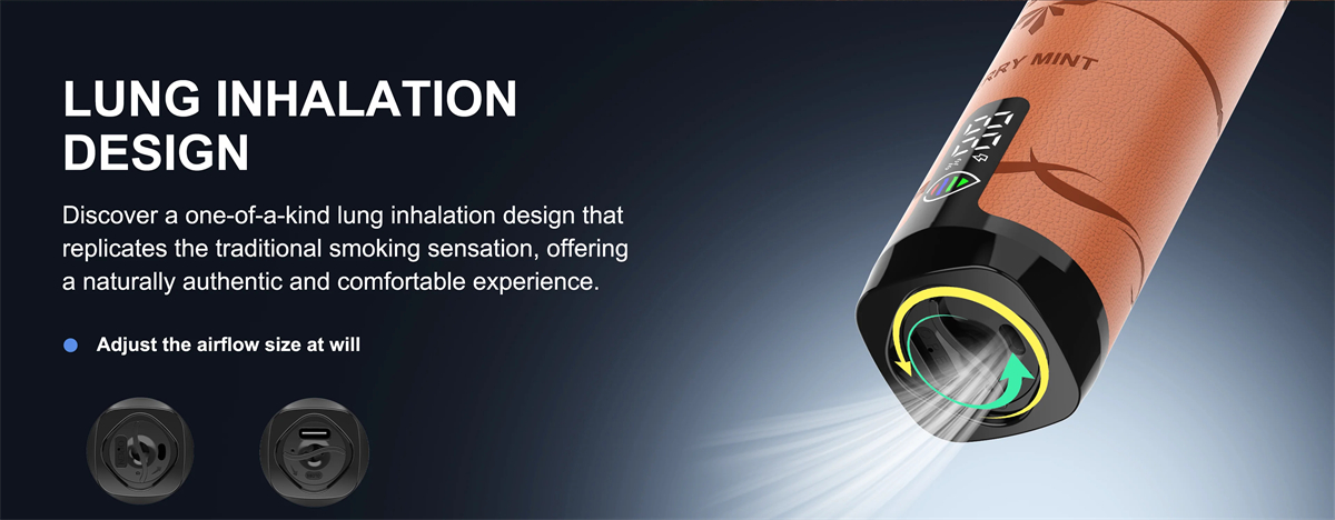 Vazpe RB15000 Description 2